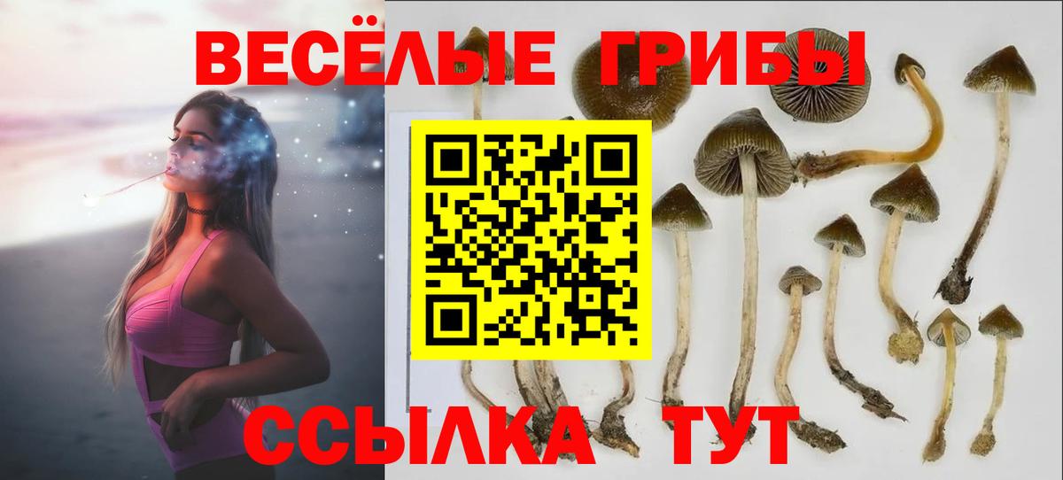 Псилоцибиновые грибы MAGIC MUSHROOMS Кирово-Чепецк